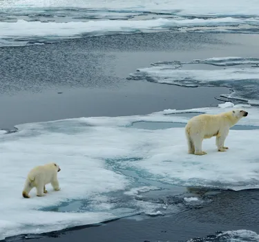 Guerbet gets CDP's A- rating for its commitment to the fight against global warming